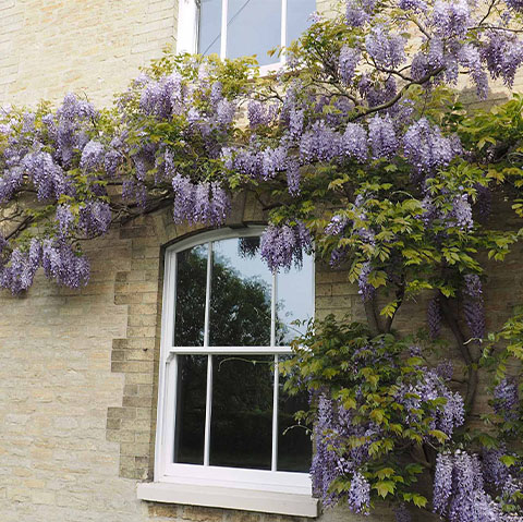 Stamfor uPVC replacement windows double glazing Leicester Cambridge Northampton